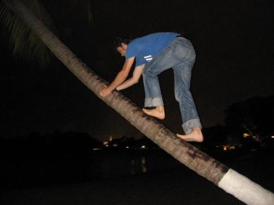 Wenn Mathi mal was auf die Palme bringt Wenn Mathi mal was auf die Palme bringt